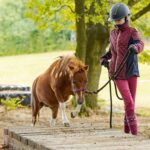 🐴 PONY, POZOR! MÁME PRO VÁS SKVĚLOU ZPRÁVU! 🎉
